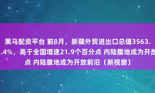 黑马配资平台 前8月，新疆外贸进出口总值3563.1亿元，增长25.4%，高于全国增速21.9个百分点 内陆腹地成为开放前沿（新视窗）