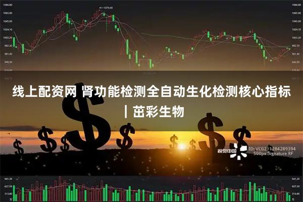 线上配资网 肾功能检测全自动生化检测核心指标｜茁彩生物